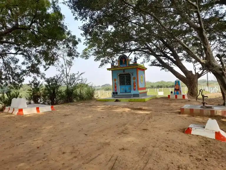 Arulmigu Mariamman Temple, Vanaarpettai - 627002 அருள்மிகு மாரியம்மன் திருக்கோயில், Vanaarpettai - 627002, Tirunelveli - Ancient Temple Architecture and History Image 4