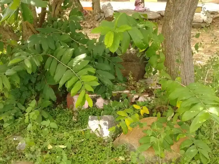 Arulmigu Mariamman Temple, Varadakuppam - 636701 அருள்மிகு மாரியம்மன் திருக்கோயில், Varadakuppam - 636701, Dharmapuri - Ancient Temple Architecture and History Image 4