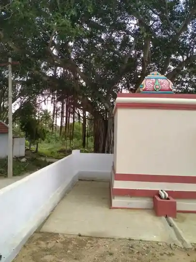 Arulmigu Mariamman Veeramman Temple, Koolanaikenpatti - 642107 அருள்மிகு மாரியம்மன் வீரம்மன் திருக்கோயில், குளனாய்க்கன்பட்டி - 642107, Coimbatore - Ancient Temple Architecture and History Image 3