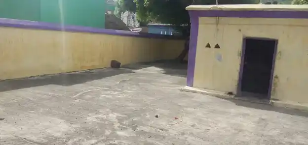 Arulmigu Marithanthondriamman Temple, Edamachi - 603107 அருள்மிகு மாரிதான்தோன்றியம்மன் திருக்கோயில், Edamachi - 603107, Kancheepuram - Ancient Temple Architecture and History Image 3