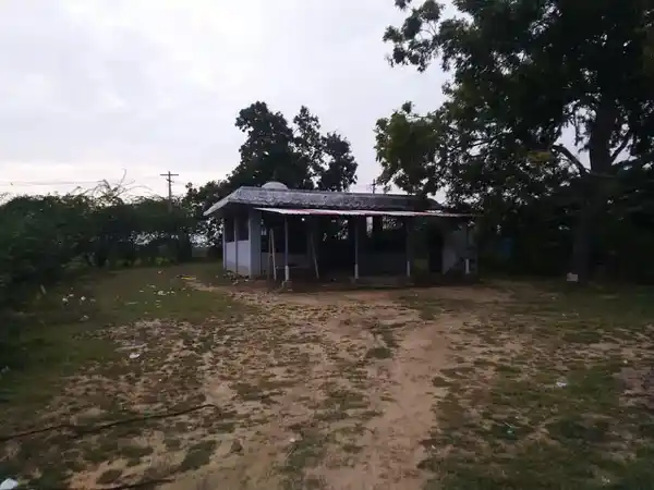 Arulmigu Mariyaman And Pidariyaman And Ayyanar And Kaliyaman Temple, Muthurasapuram - 610201 அருள்மிகு மாரியம்மன் , பிடாரியம்மன் , அய்யனார் , காளியம்மன் திருக்கோயில், Muthurasapuram - 610201, Nagapattinam - Ancient Temple Architecture and History Image 5