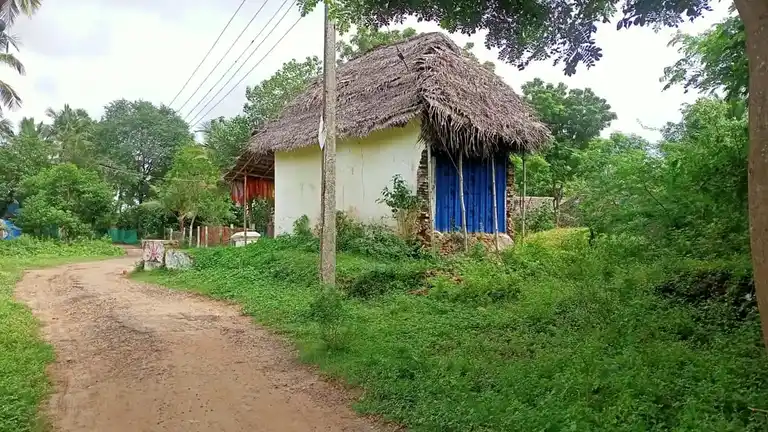 Arulmigu Mariyaman Temple, Nangudi - 612604 அருள்மிகு மாரியம்மன் திருக்கோயில், Nangudi - 612604, Thiruvarur - Ancient Temple Architecture and History Image 3