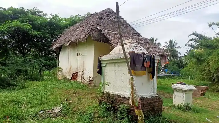 Arulmigu Mariyaman Temple, Nangudi - 612604 அருள்மிகு மாரியம்மன் திருக்கோயில், Nangudi - 612604, Thiruvarur - Ancient Temple Architecture and History Image 9