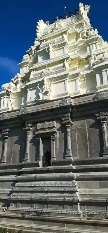 Arulmigu Mariyamman and Selliamman Temple, Madhurantakam - 603306 அருள்மிகு மாரியம்மன் மற்றும் செல்லியம்மன் திருக்கோயில், மதுராந்தகம் - 603306, Chengalpattu - Ancient Temple Architecture and History Image 6