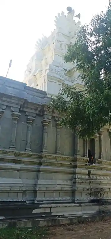 Arulmigu Mariyamman and Selliamman Temple, Madhurantakam - 603306 அருள்மிகு மாரியம்மன் மற்றும் செல்லியம்மன் திருக்கோயில், மதுராந்தகம் - 603306, Chengalpattu - Ancient Temple Architecture and History Image 8