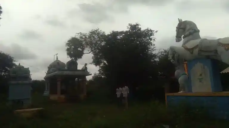 Arulmigu Mariyamman Ayyanar Temple, Parappatti - 621310