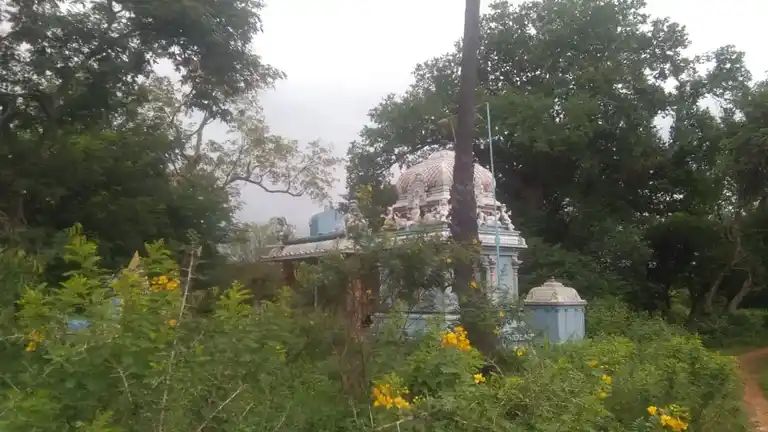 Arulmigu Mariyamman Ayyanar Temple, Parappatti - 621310 Arulmigu Mariyamman Ayyanar Temple, Parappatti - 621310, Thiruchirappalli - Ancient Temple Architecture and History Image 3
