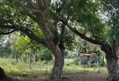 Arulmigu Mariyamman Karupuswamy Temple, Kothankudi - 612303 Arulmigu Mariyamman Karupuswamy Temple, Kothankudi - 612303, Thanjavur - Ancient Temple Architecture and History Image 5