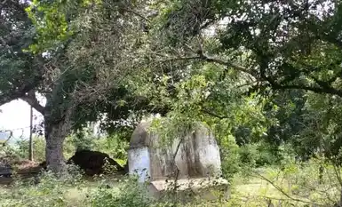Arulmigu Mariyamman Karupuswamy Temple, Kothankudi - 612303 Arulmigu Mariyamman Karupuswamy Temple, Kothankudi - 612303, Thanjavur - Ancient Temple Architecture and History Image 6