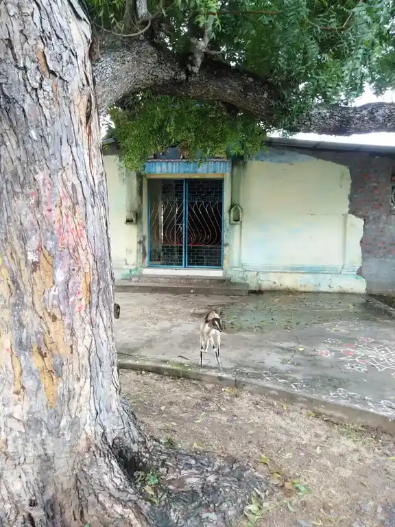 Arulmigu Mariyamman Mumoorthi Vinayagar Temple, Nallathadi - 609807 அருள்மிகு மாரியம்மன் மும்மூர்த்தி விநாயகர் திருக்கோயில், Nallathadi - 609807, Thanjavur - Ancient Temple Architecture and History Image 7