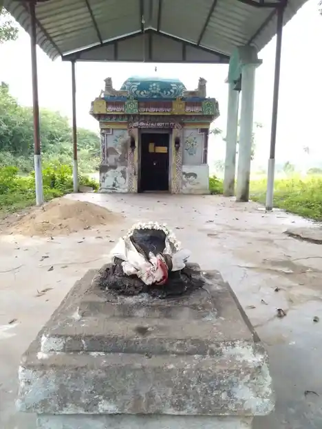 Arulmigu Mariyamman, Pidari, Ayyanar Temple, Mullankudi - 612502 அருள்மிகு மாரியம்மன், பிடாரி, அய்யனார் திருக்கோயில், Mullangudi - 612502, Thanjavur - Ancient Temple Architecture and History Image 4