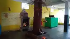 Arulmigu Mariyamman,Selliyamman, Iyanartemple, Thirunandriyur - 609118 மாரியம்மன், திருநன்றியூர், திருநன்றியூர் - 609118, Mayiladuthurai - Ancient Temple Architecture and History Image 4