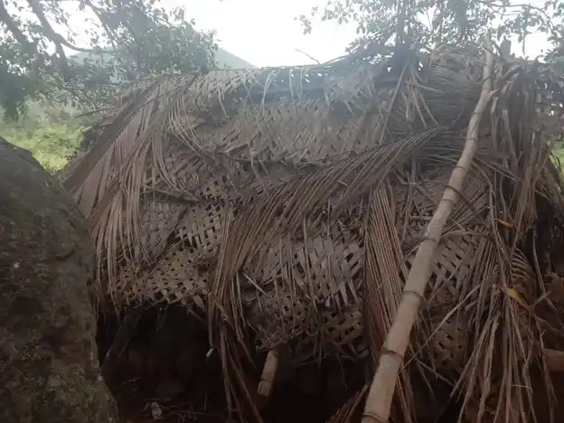 Arulmigu Mariyamman Temple, Aalanur - 606401 அருள்மிகு மாரியம்மன் திருக்கோயில், Aalanur - 606401, Kallakurichi - Ancient Temple Architecture and History Image 2