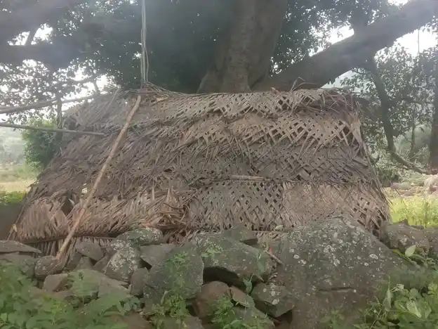 Arulmigu Mariyamman Temple, Aalanur - 606401 அருள்மிகு மாரியம்மன் திருக்கோயில், Aalanur - 606401, Kallakurichi - Ancient Temple Architecture and History Image 4