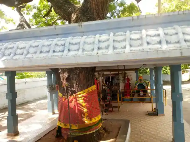 Arulmigu Mariyamman Temple, Agaram Pallilpattu - 606853 அருள்மிகு மாரியம்மன் திருக்கோயில், அகரம் பள்ளிப்பட்டு - 606853, Tiruvannamalai - Ancient Temple Architecture and History Image 5
