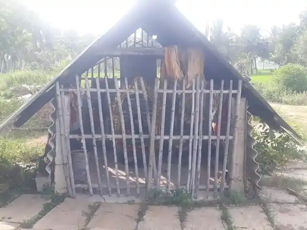 Arulmigu Mariyamman Temple, Andami, Andami - 614903 அருள்மிகு மாரியம்மன் திருக்கோயில், Andami, Andami - 614903, Thanjavur - Ancient Temple Architecture and History Image 3