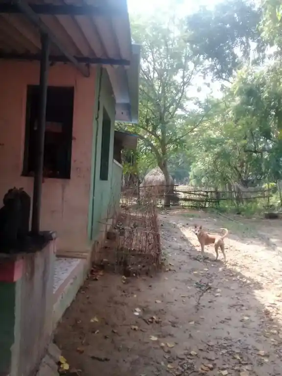 Arulmigu Mariyamman Temple, Arakkattalai - 621701 Arulmigu Mariyamman Temple, Arakkattalai - 621701, Ariyalur - Ancient Temple Architecture and History Image 2