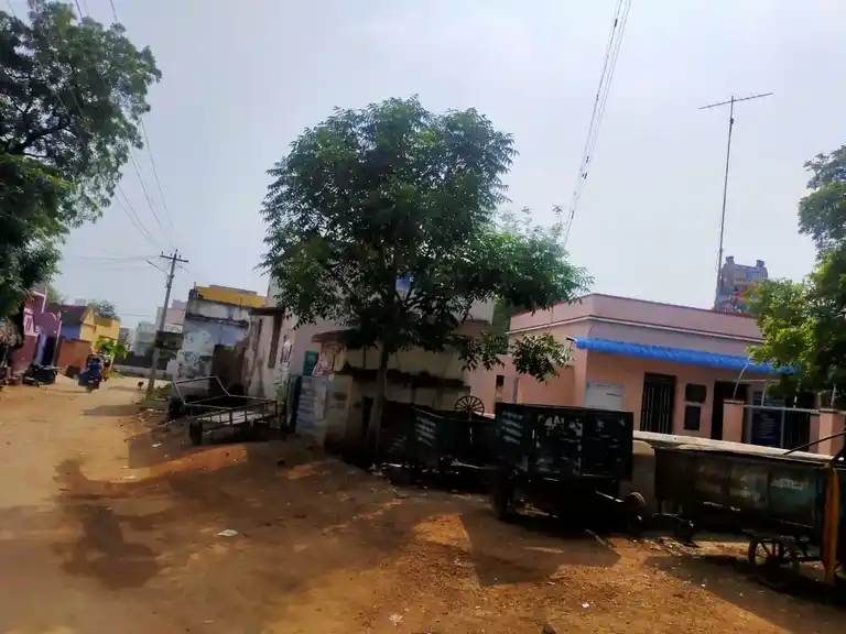 Arulmigu Mariyamman Temple, Chokkanathanputhur - 626121