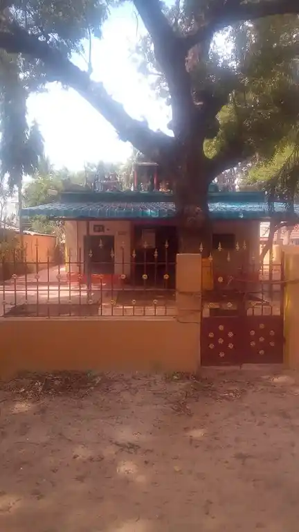 Arulmigu Mariyamman Temple, Cholankudikadu - 621709