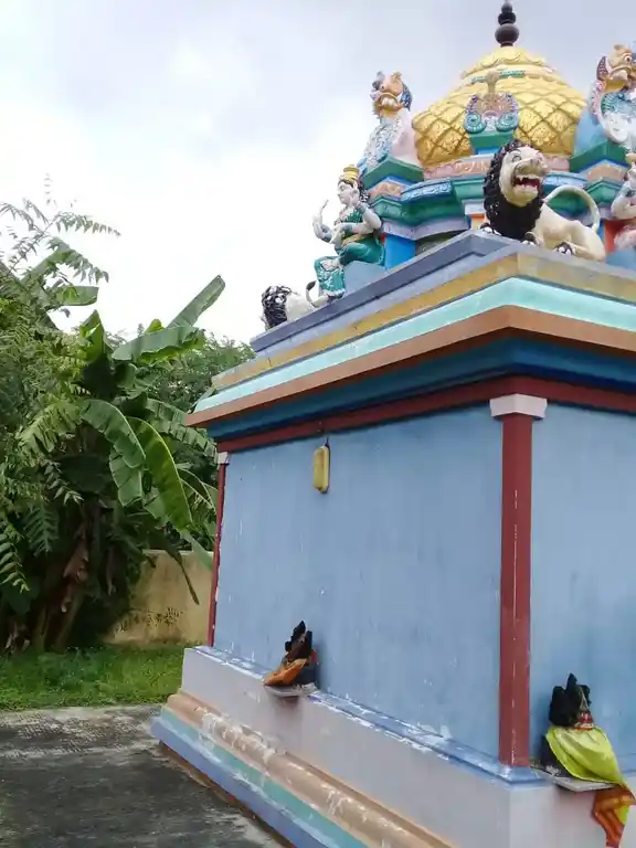 Arulmigu Mariyamman Temple, Irudaiyaanpattu - 605702 அருள்மிகு மாரியம்மன் திருக்கோயில், Irudaiyaanpattu - 605702, Kallakurichi - Ancient Temple Architecture and History Image 5