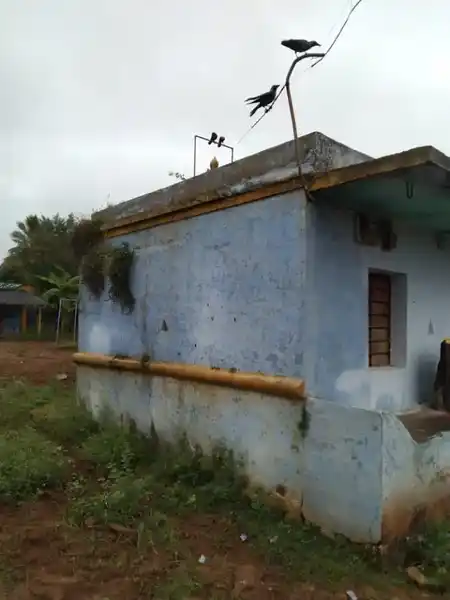 Arulmigu Mariyamman Temple, Jangalahalli - 636903