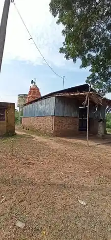 Arulmigu Mariyamman Temple, Kaaraiyur - 610101 Temple