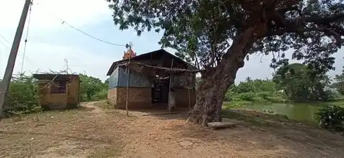 Arulmigu Mariyamman Temple, Kaaraiyur - 610101 அருள்மிகு மாரியம்மன் திருக்கோயில், Kaaraiyur - 610101, Nagapattinam - Ancient Temple Architecture and History Image 2