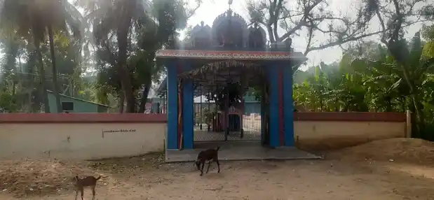 Arulmigu Mariyamman Temple, Kadalangudi - 609204 அருள்மிகு மாரியம்மன் திருக்கோயில்,  - 609204, Mayiladuthurai - Ancient Temple Architecture and History Image 2