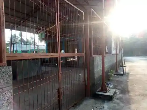 Arulmigu Mariyamman Temple, Kannaikulam, Kannangkulam - 609111