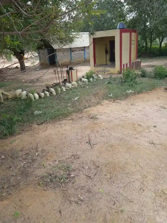 Arulmigu Mariyamman Temple, Karaikuruchi - 612904 அருள்மிகு மாரியம்மன் திருக்கோயில், காரைக்குறிச்சி - 612904, Ariyalur - Ancient Temple Architecture and History Image 2