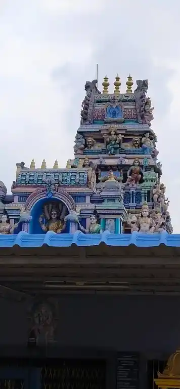 Arulmigu Mariyamman Temple, Karuvalvadipudhur - 638502 Temple