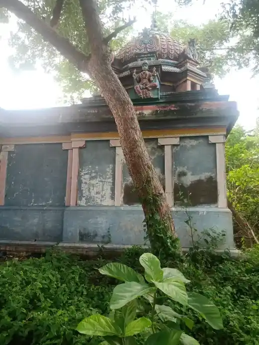 Arulmigu Mariyamman Temple, Kiliyanur - 608201 அருள்மிகு மாரியம்மன் திருக்கோயில், Kiliyanur - 608201, Cuddalore - Ancient Temple Architecture and History Image 3