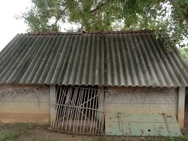 Arulmigu Mariyamman Temple, Kottiyal - 612904 Temple