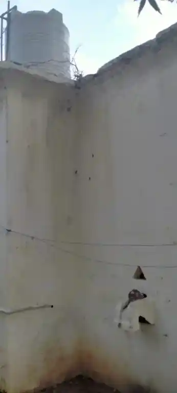 Arulmigu Mariyamman Temple, Kuppanatham - 606003 மாரியம்மன் கோயில்,  - 606003, Cuddalore - Ancient Temple Architecture and History Image 5