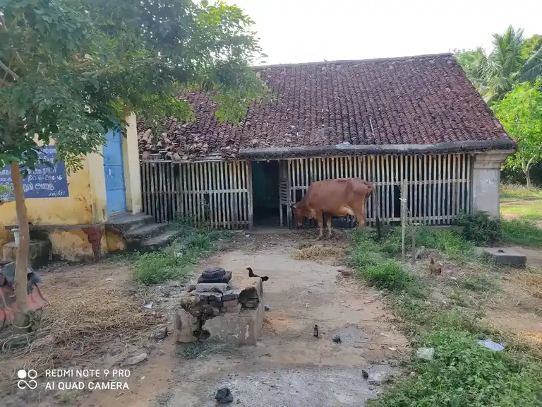 Arulmigu Mariyamman Temple, Nagamapanthal - 608901 Temple