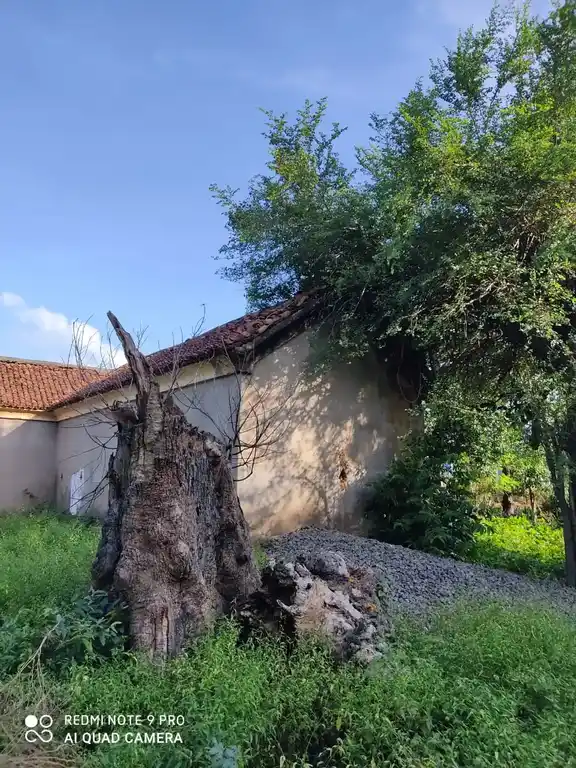 Arulmigu Mariyamman Temple, Nagamapanthal - 608901 அருள்மிகு மாரியம்மன் திருக்கோயில், நாகம்பந்தல் - 608901, Ariyalur - Ancient Temple Architecture and History Image 3