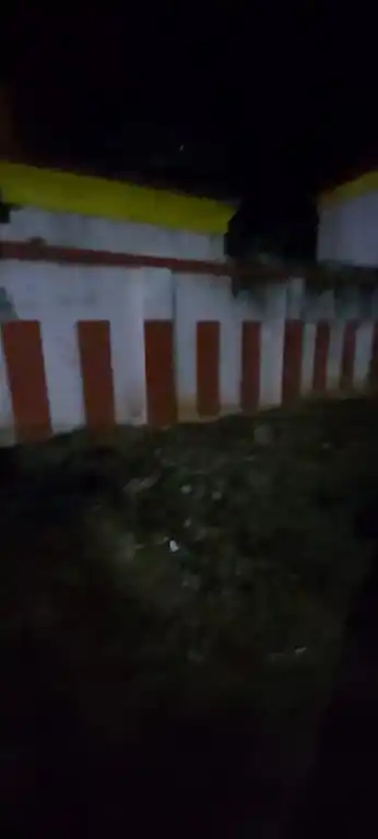 Arulmigu Mariyamman Temple, Nemeli - 631051 அருள்மிகு மாரியம்மன் திருக்கோயில், நெமிலி - 631051, Ranipet - Ancient Temple Architecture and History Image 5