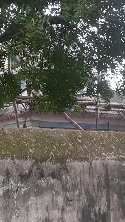 Arulmigu Mariyamman Temple, Olaiyur - 608901 அருள்மிகு மாரியம்மன் திருக்கோயில், Olaiyur - 608901, Ariyalur - Ancient Temple Architecture and History Image 4