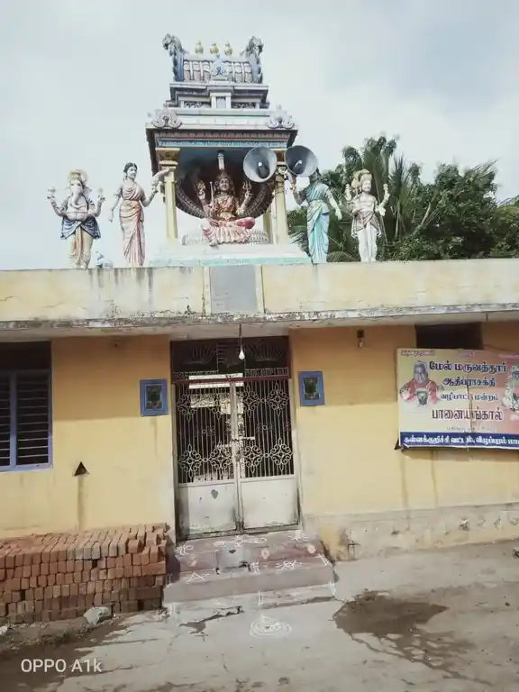 Arulmigu Mariyamman Temple, Paanayangaal - 606206 Temple