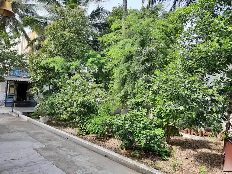 Arulmigu Mariyamman Temple, Peelamedu, Coimbatore - 641004