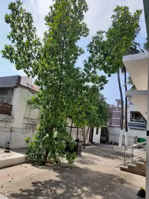 Arulmigu Mariyamman Temple, Peelamedu, Coimbatore - 641004 அருள்மிகு மாரியம்மன் திருக்கோயில், Peelamedu, Coimbatore - 641004, Coimbatore - Ancient Temple Architecture and History Image 4