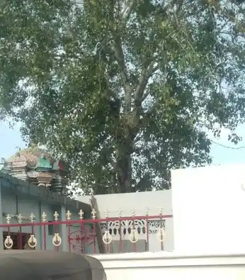 Arulmigu Mariyamman Temple, Pension Theru, Varaganeri - 620008 Arulmigu Mariyamman Temple, பென்சன் தெரு, Varaganeri - 620008, Thiruchirappalli - Ancient Temple Architecture and History Image 2