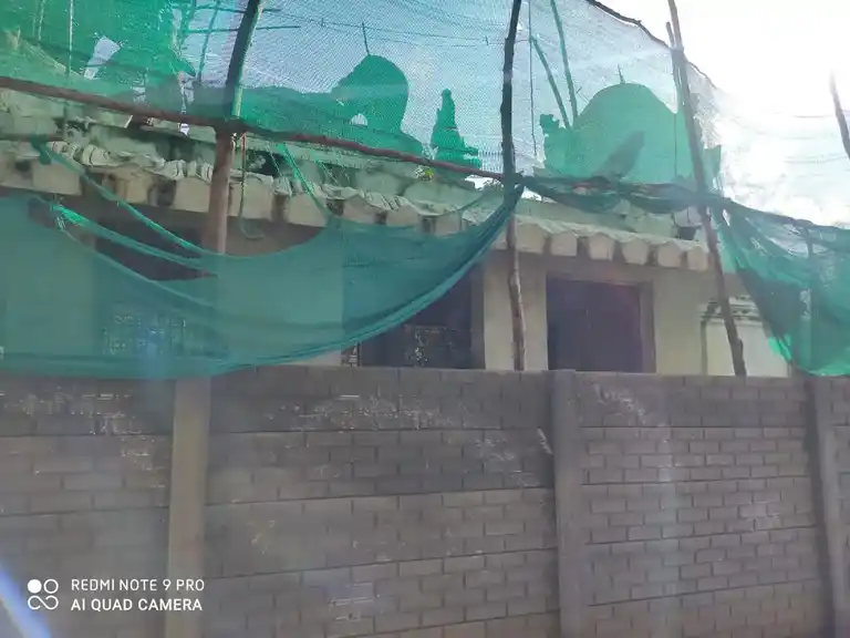 Arulmigu Mariyamman Temple, Periya Karukai - 621801 Temple