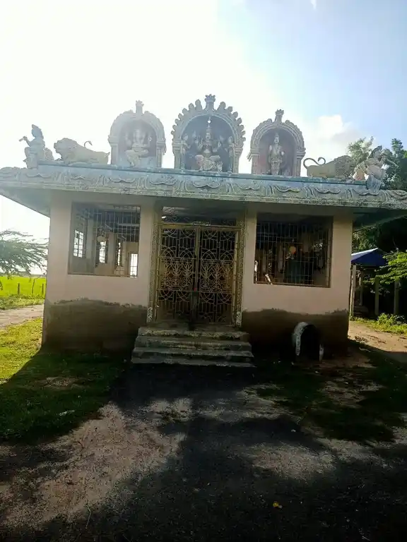 Arulmigu Mariyamman Temple, Pichankottagam - 614716 அருள்மிகு மாரியம்மன் திருக்கோயில், பிச்சன்கோட்டகம் - 614716, Thiruvarur - Ancient Temple Architecture and History Image 3
