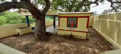 Arulmigu Mariyamman Temple, Pondur - 603401 அருள்மிகு மாரியம்மன் திருக்கோயில், Pondur - 603401, Chengalpattu - Ancient Temple Architecture and History Image 4