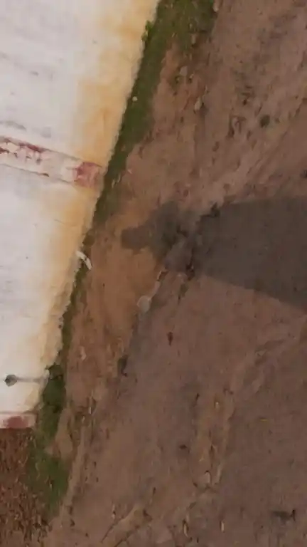 Arulmigu Mariyamman Temple, Ramadevanallur, Ariyalur - 612903 Arulmigu Mariyamman Temple, Ramadevanallur, Ariyalur - 612903, Ariyalur - Ancient Temple Architecture and History Image 3