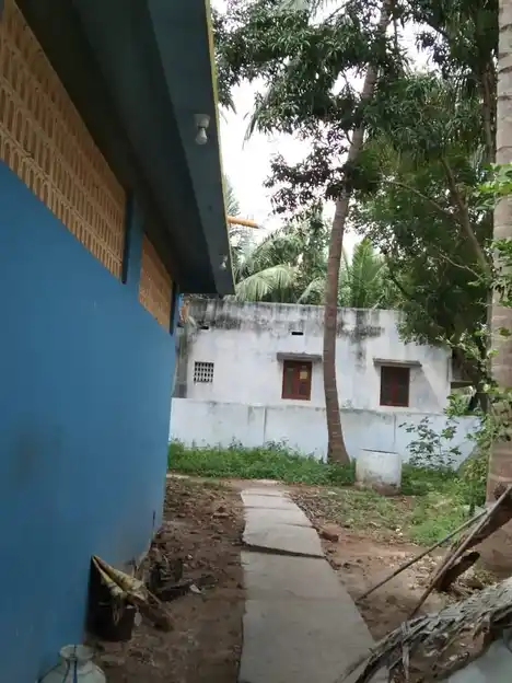 Arulmigu Mariyamman Temple, Thirumangalam - 621703 Arulmigu Mariyamman Temple, Thirumangalam - 621703, Thiruchirappalli - Ancient Temple Architecture and History Image 3