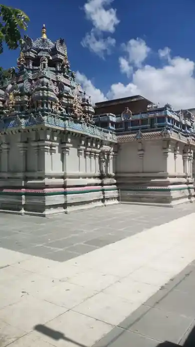 Arulmigu Mariyamman Temple, Thiruvarur Therku Sethi - 610002 அருள்மிகு மாரியம்மன் திருக்கோயில், திருவாரூர், திருவாரூர் தெற்கு சேத்தி - 610002, Thiruvarur - Ancient Temple Architecture and History Image 3