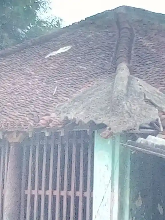 Arulmigu Mariyamman Temple, Udaivartheeyanoor - 621901 அருள்மிகு மாரியம்மன் திருக்கோயில், Udaivartheeyanoor - 621901, Ariyalur - Ancient Temple Architecture and History Image 2