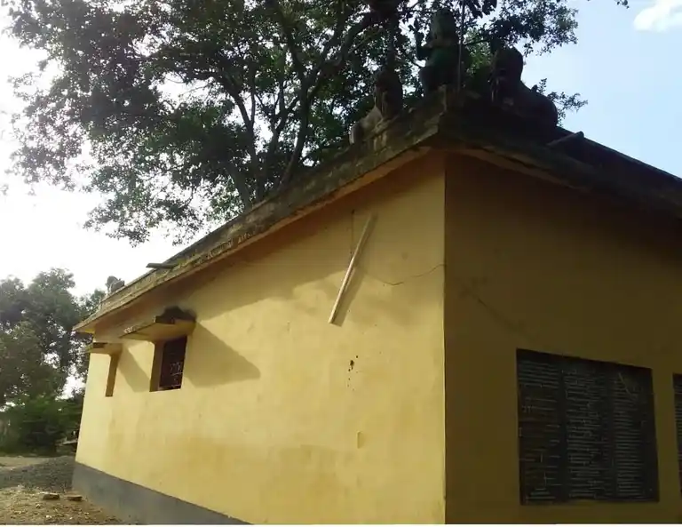 Arulmigu Mariyamman Temple, Vadakaravayal - 612803 அருள்மிகு மாரியம்மன் திருக்கோயில், நீடாமங்கலம், வடகாரவயல் - 612803, Thiruvarur - Ancient Temple Architecture and History Image 5